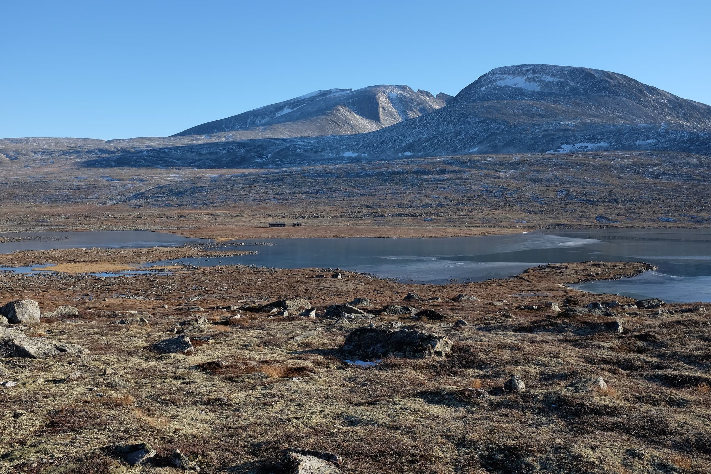 Snøhetta sett fra Dovrefjell